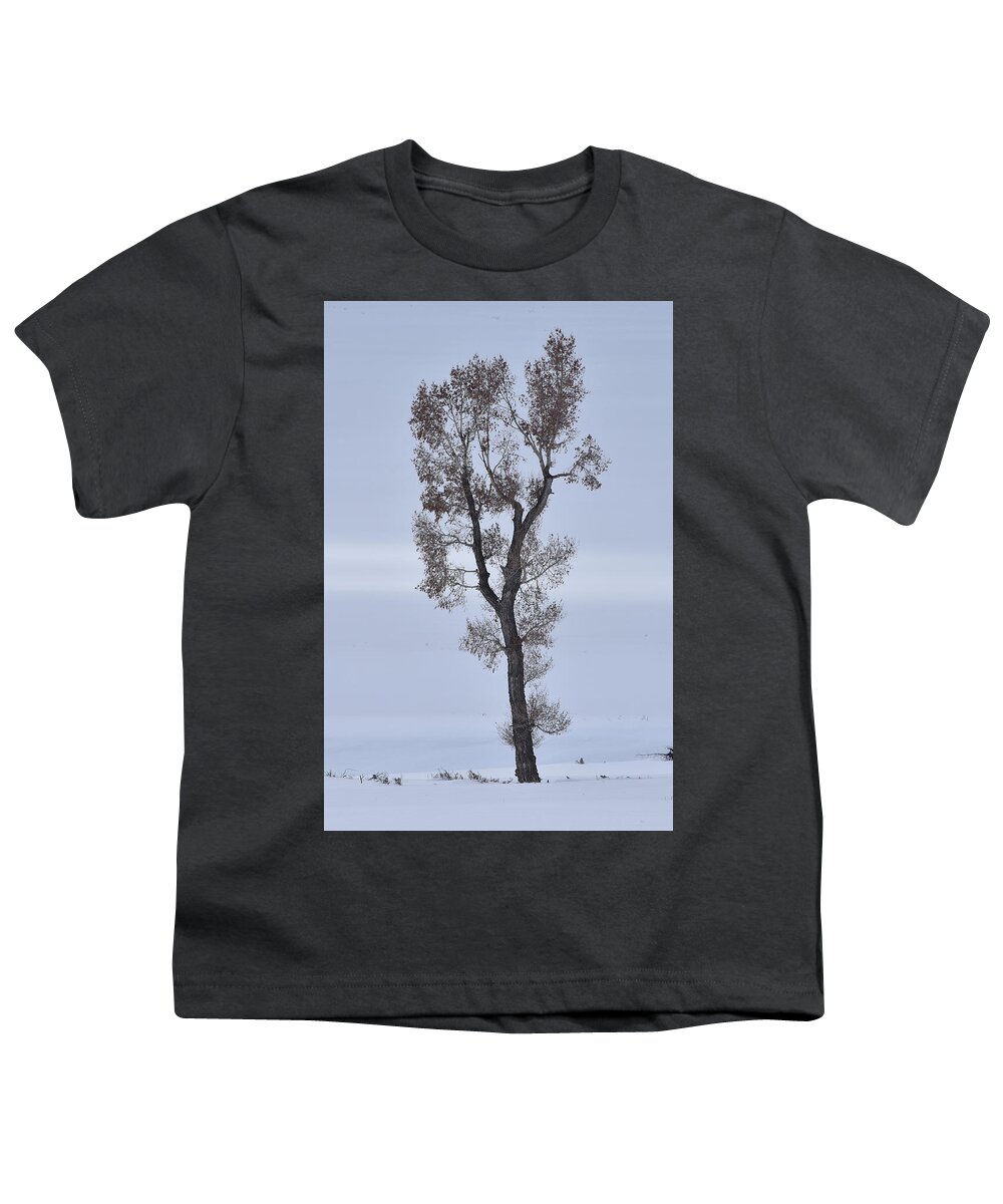 Tree Youth T-Shirt featuring the photograph Lone Cottonwood In Winter by Ben Foster