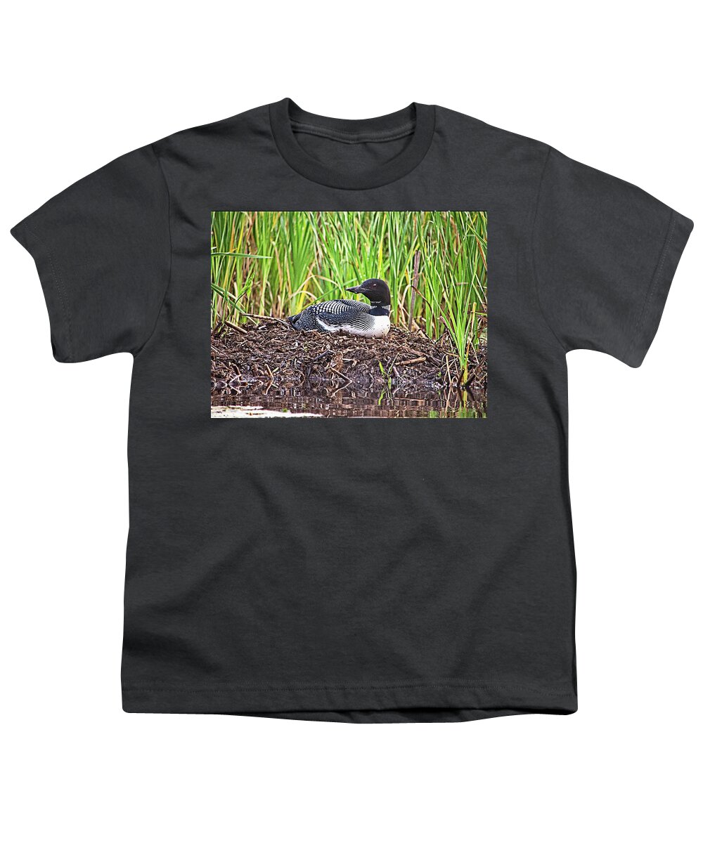 Bird Youth T-Shirt featuring the photograph Loon on Nest 2 - Norway - Maine by Steven Ralser