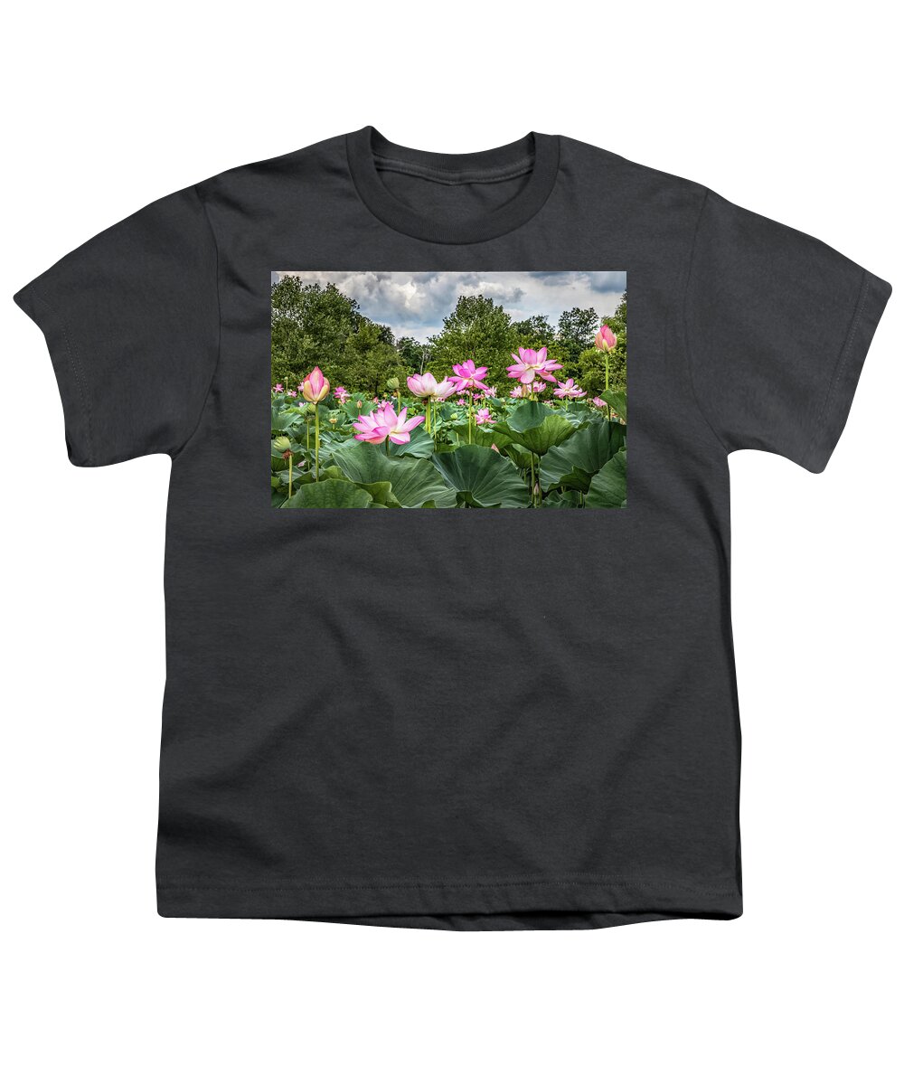 Lotus Flowers Youth T-Shirt featuring the photograph Lotus Pond by Elvira Peretsman