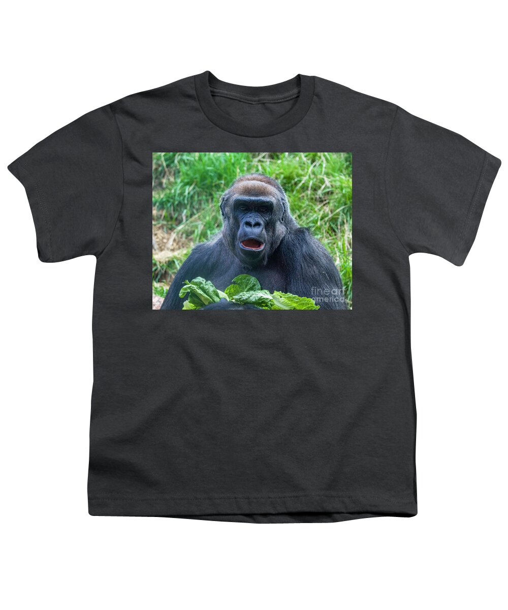 Western Lowland Gorilla Youth T-Shirt featuring the photograph Lowland Gorilla by Shirley Dutchkowski