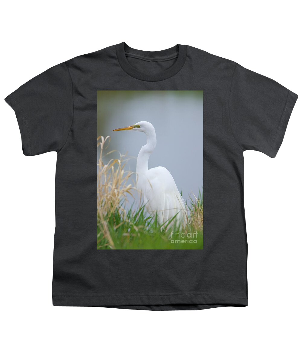 Egret Youth T-Shirt featuring the photograph Luminous Egret by Yvonne M Smith