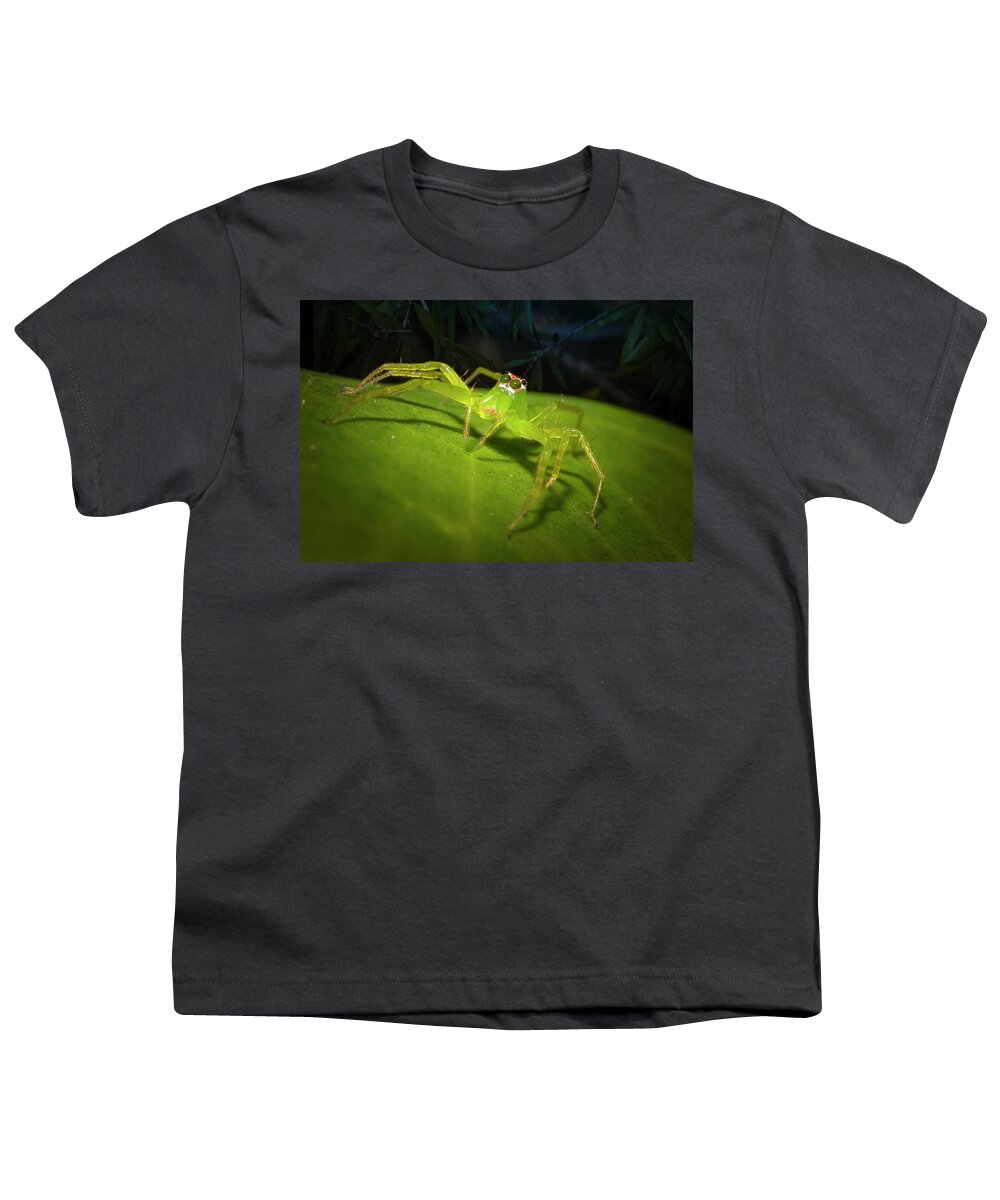 Magnolia Green Jumping Spider Youth T-Shirt featuring the photograph Magnolia Green Jumping Spider by Mark Andrew Thomas
