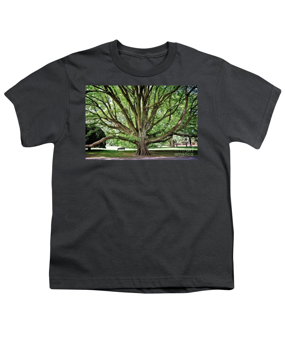Tree Youth T-Shirt featuring the photograph Majestic tree in Christchurch botanic gardens by Delphimages Photo Creations
