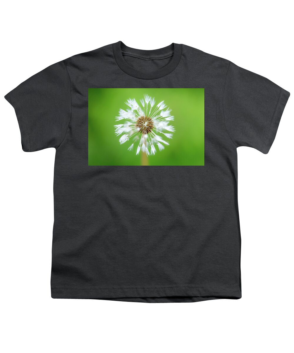 Abstract Youth T-Shirt featuring the photograph Make A Wish - on Green by Anita Nicholson