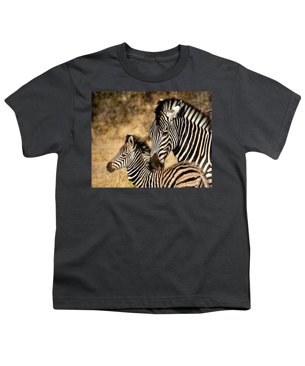 Zebra Youth T-Shirt featuring the photograph Mama And Her Baby by Elvira Peretsman