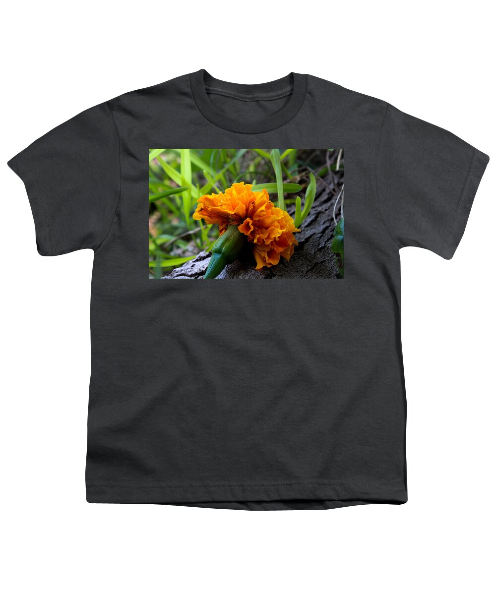 Marigold Youth T-Shirt featuring the photograph Marigold on a Tree Root by W Craig Photography