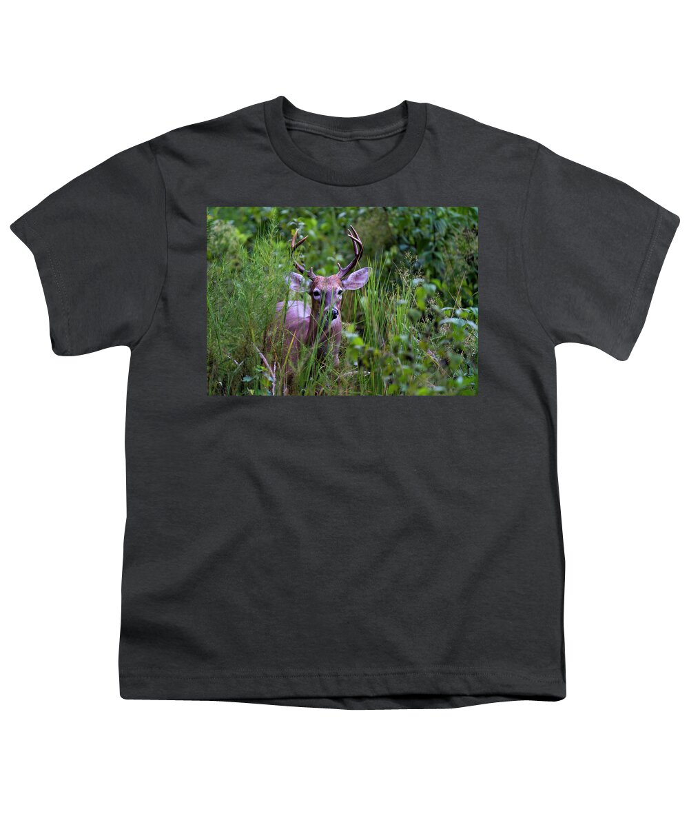 Deer Youth T-Shirt featuring the photograph Master of Detection by Todd Tucker