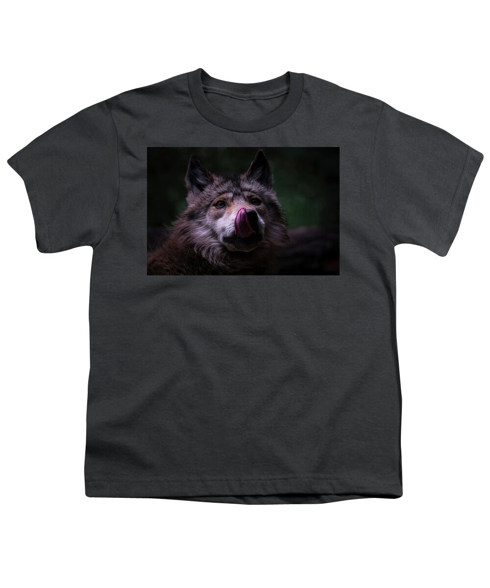Wolf Youth T-Shirt featuring the photograph Mexican Grey Wolf 10 by Ernest Echols