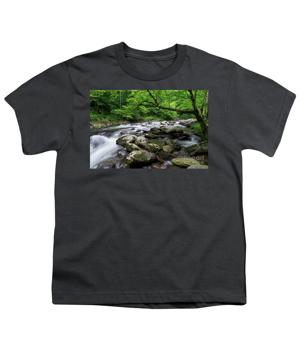  Youth T-Shirt featuring the photograph Middle Prong Little River 32 by Phil Perkins