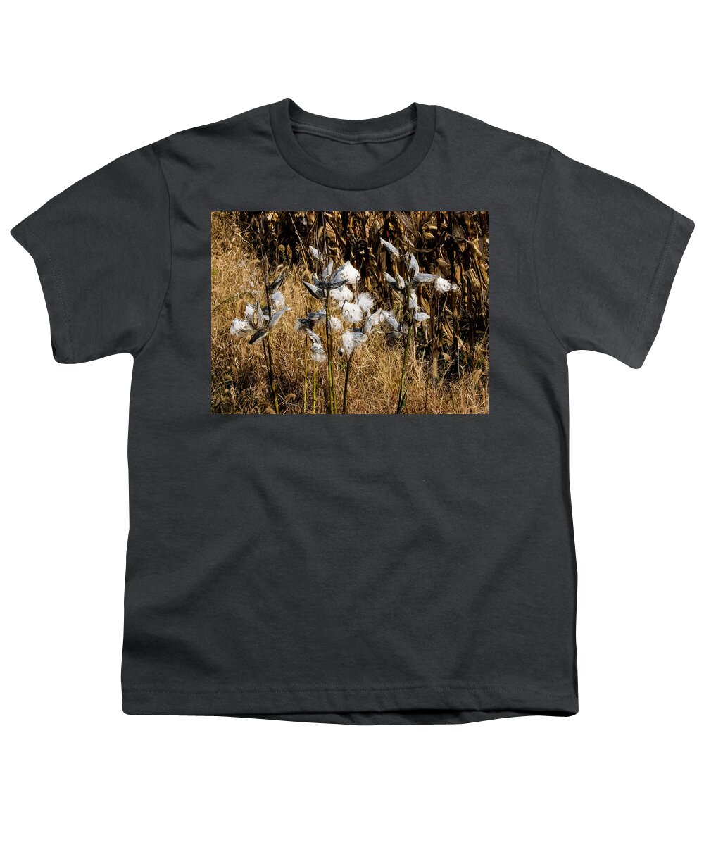 Lake Reflection Youth T-Shirt featuring the photograph Milkweed by Tom Singleton