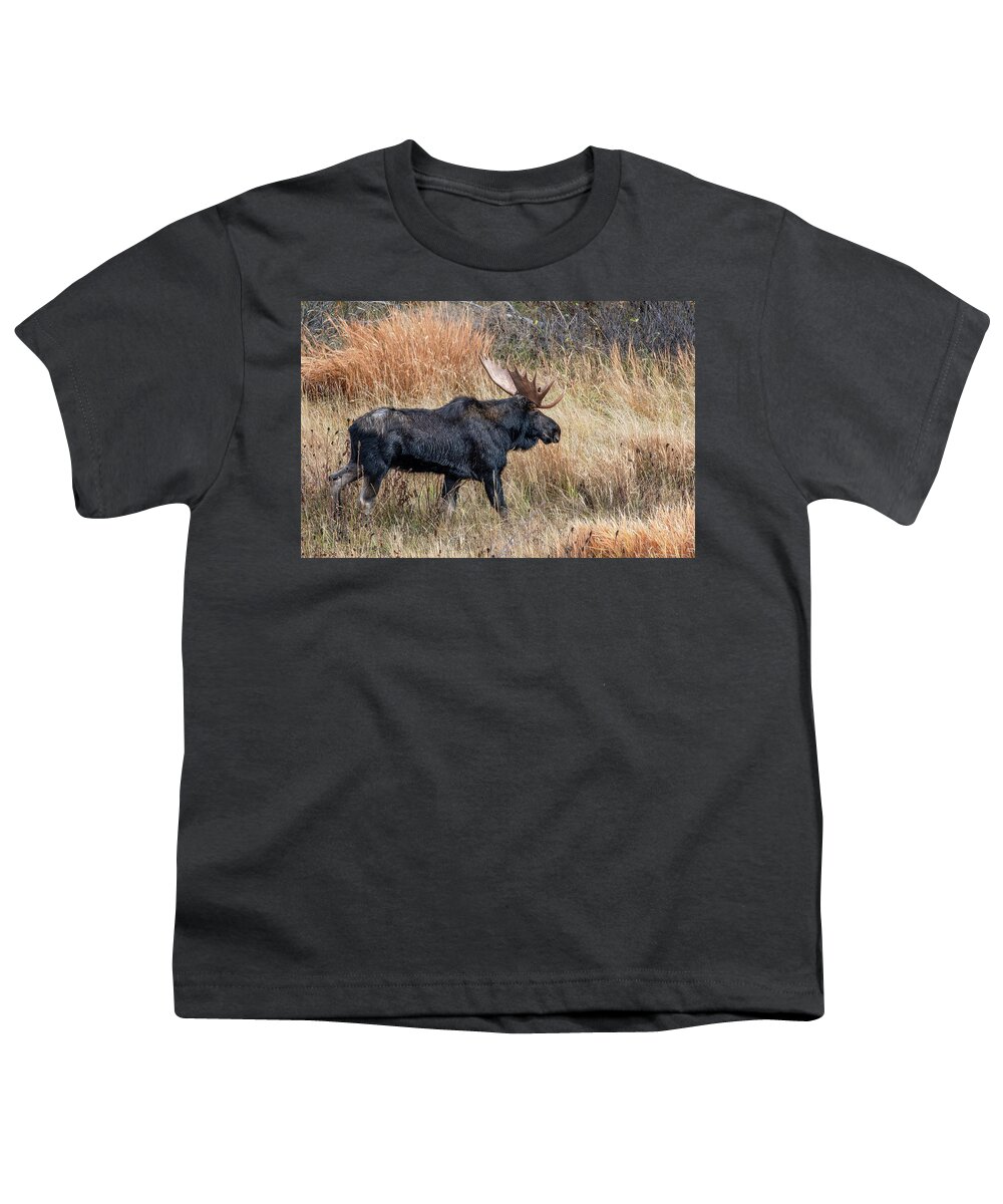 Wyoming Youth T-Shirt featuring the photograph Moose on the Move, Grand Teton National Park by Marcy Wielfaert
