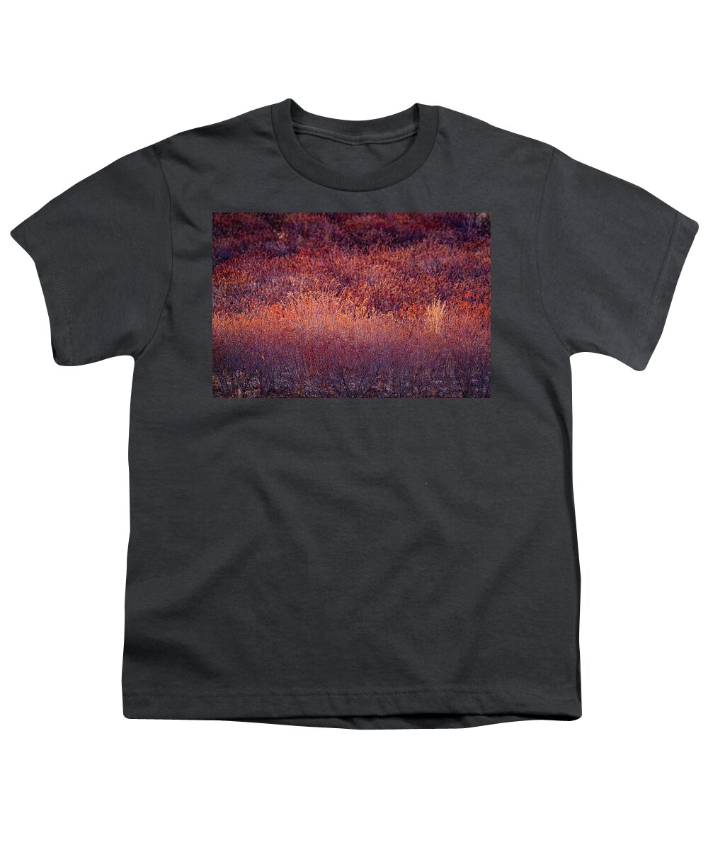 New Hampshire Youth T-Shirt featuring the photograph Morning Light On Sweet Fern by Jeff Sinon