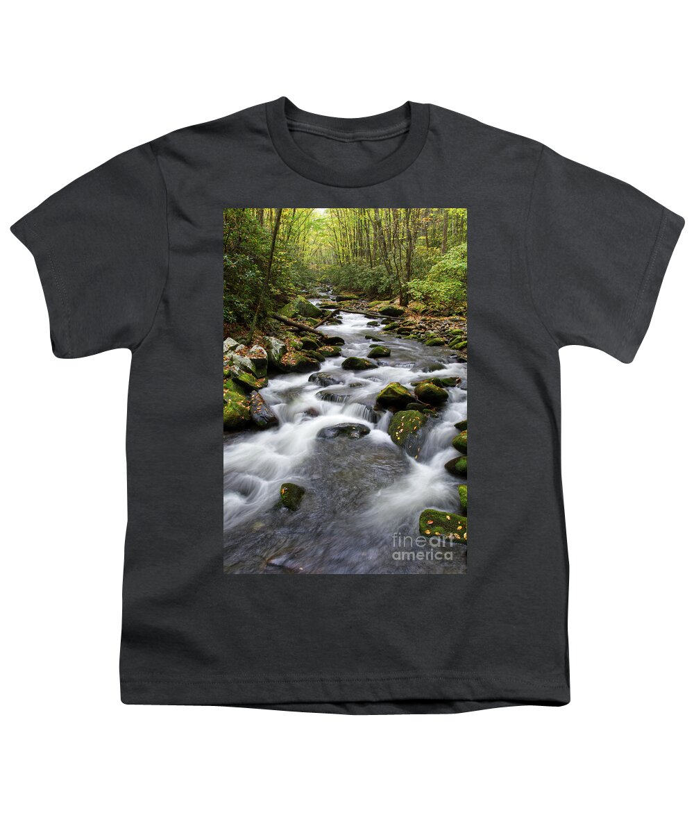 Tennessee Youth T-Shirt featuring the photograph Moss On Middle Prong 1 by Phil Perkins