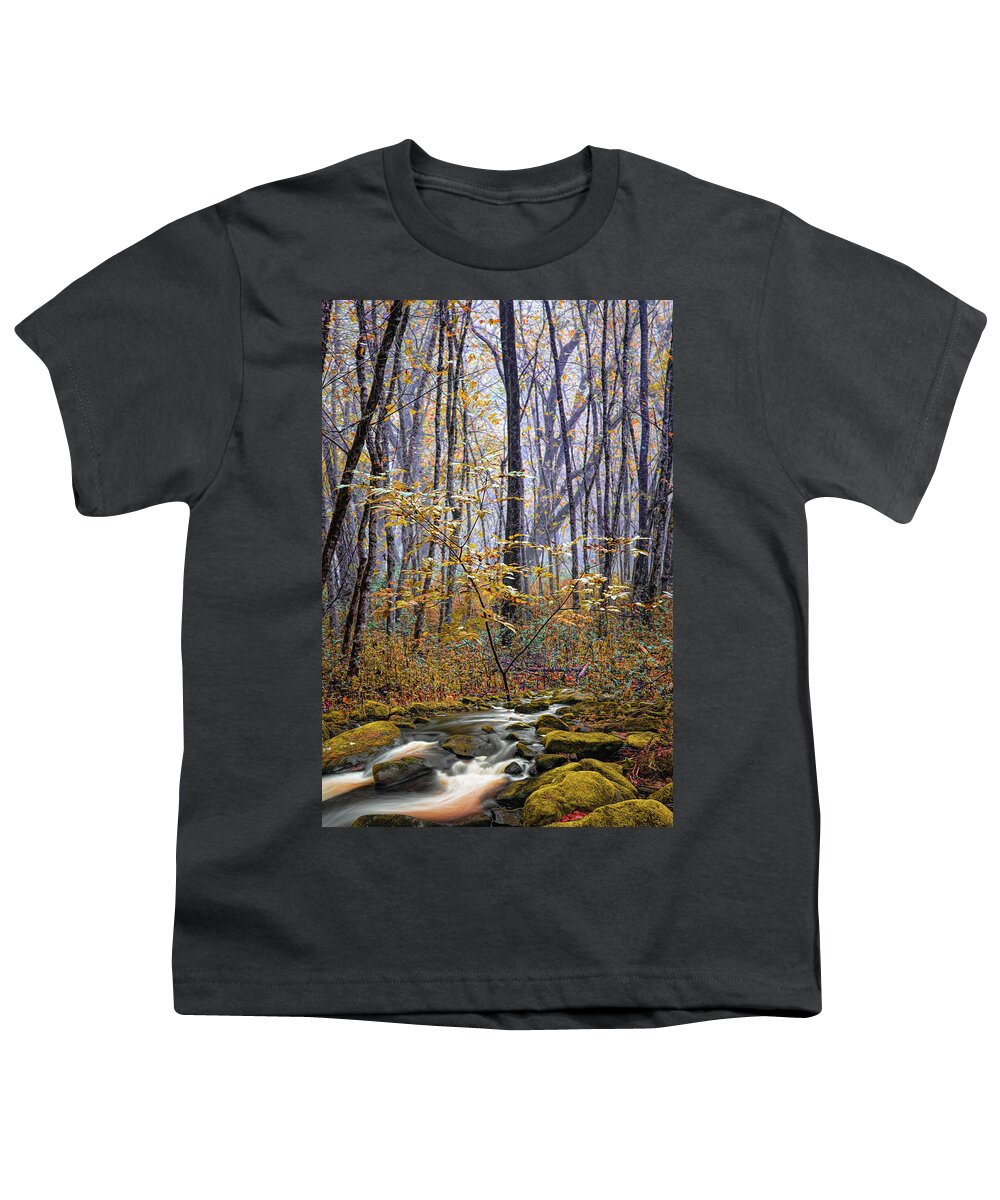 Creek Youth T-Shirt featuring the photograph Mossy Creek through the Autumn Woods by Debra and Dave Vanderlaan