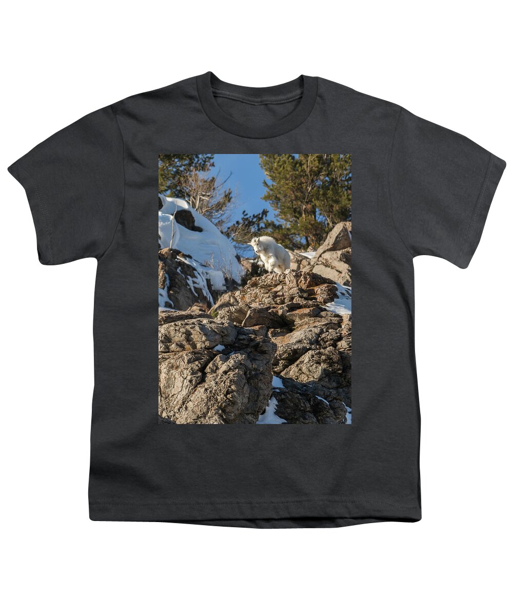 Mountain Goat Youth T-Shirt featuring the photograph Mountain Climbing Practice by Yeates Photography
