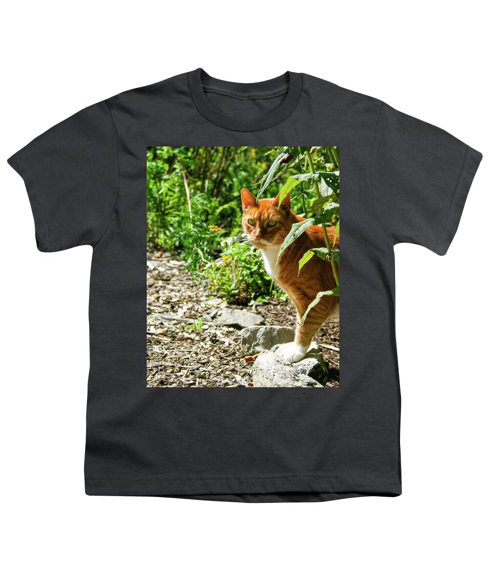 Marmalade Cats Youth T-Shirt featuring the photograph Murphy by Kristin Hatt