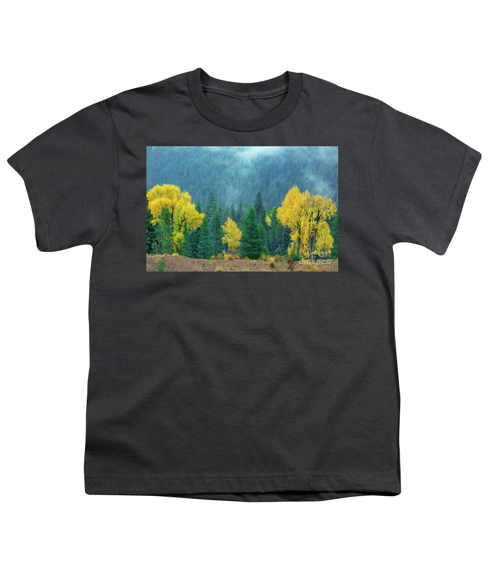 Dave Welling Youth T-Shirt featuring the photograph Narrowleaf Cottonwoods And Blur Spruce Trees In Grand Tetons by Dave Welling