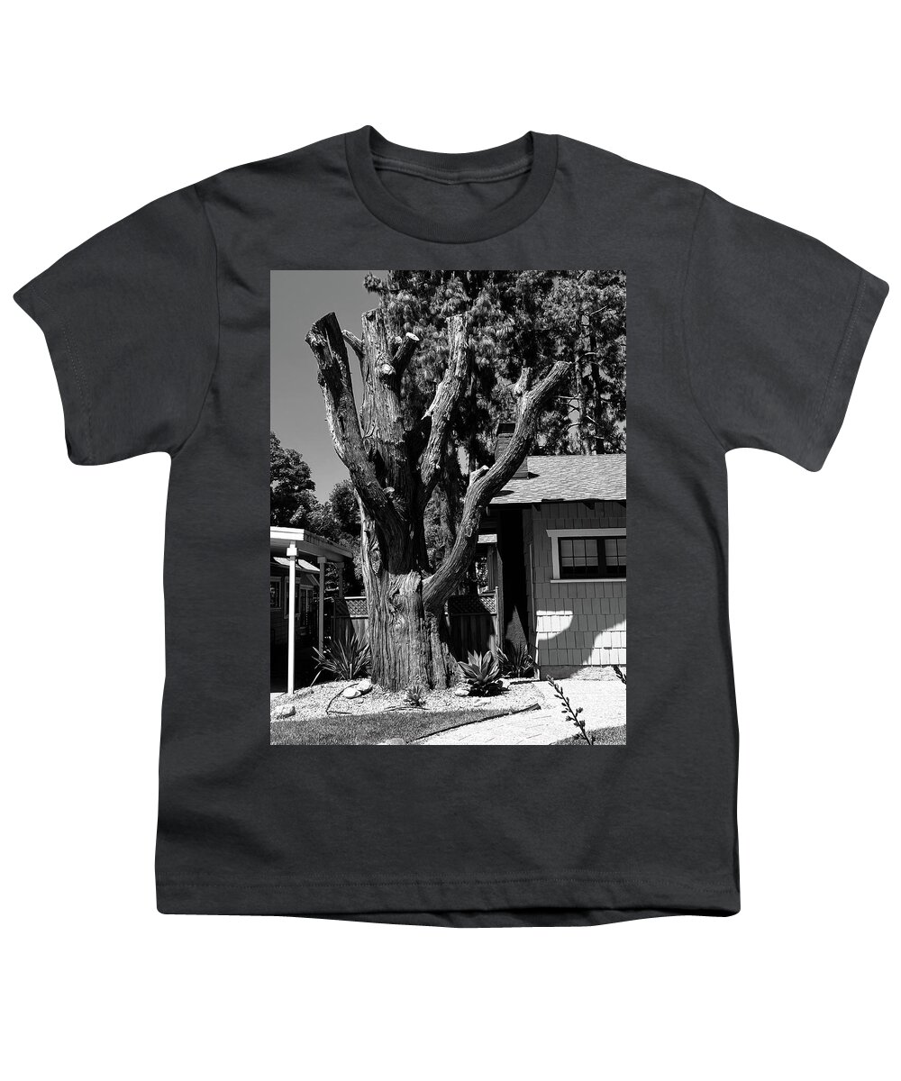 Tree Youth T-Shirt featuring the photograph Nature's Sculpture by Calvin Boyer