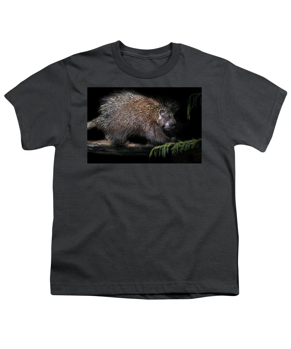 North American Porcupine Youth T-Shirt featuring the photograph North American Porcupine at Night by Arterra Picture Library