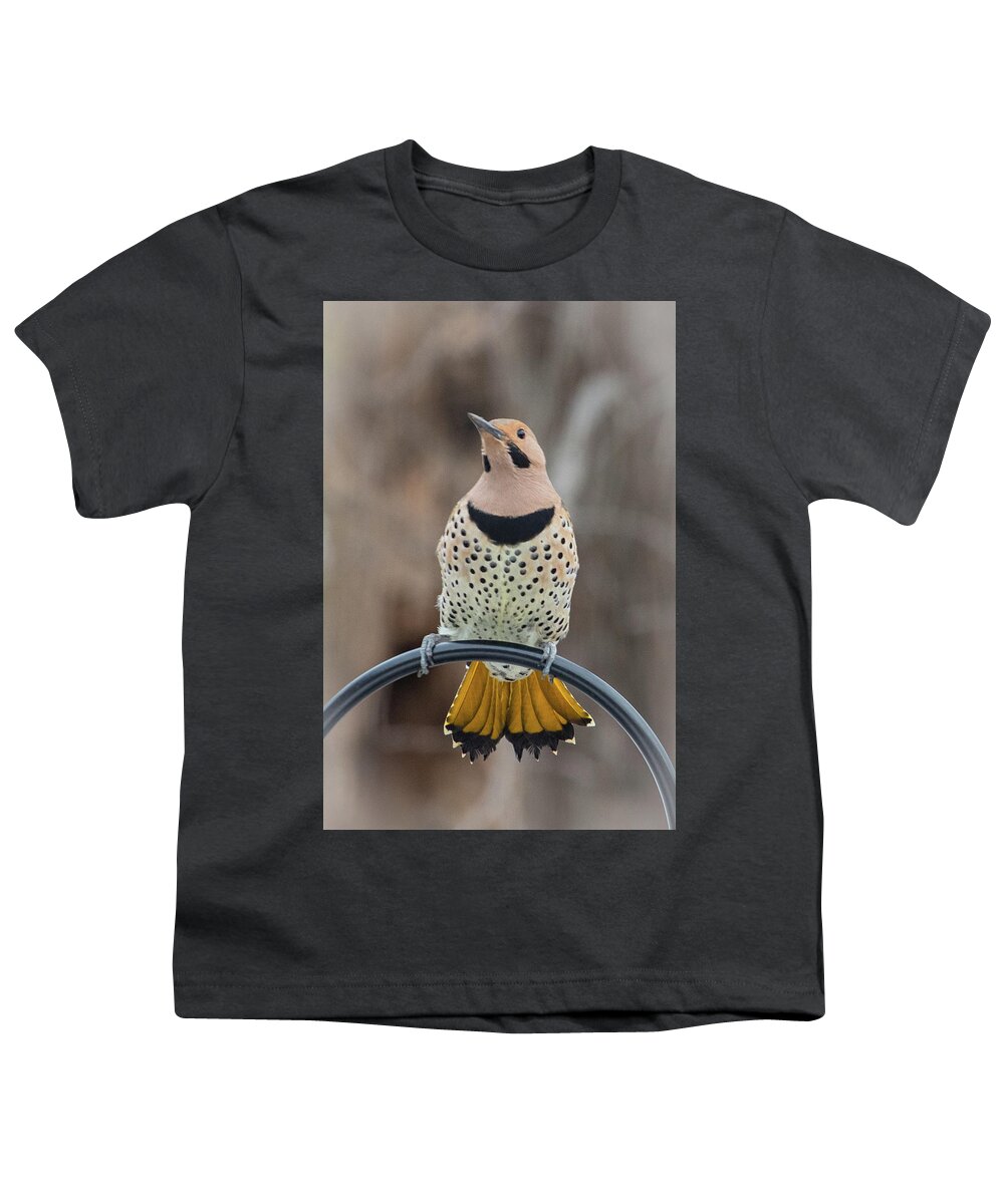 2019 Youth T-Shirt featuring the photograph Northern Flicker 9 by Gerri Bigler