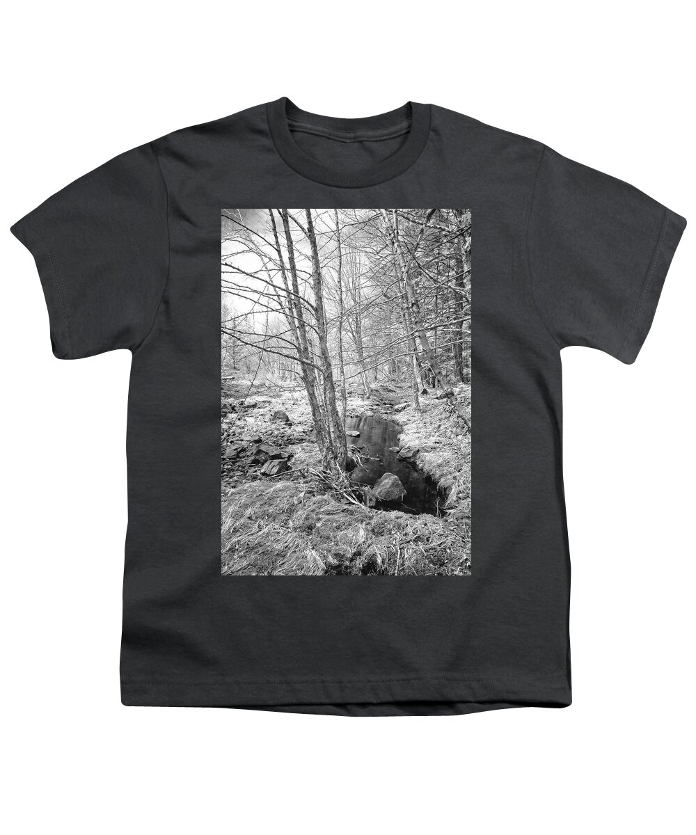 Infra Red Youth T-Shirt featuring the photograph Nr Jeffers Falls by Alan Norsworthy