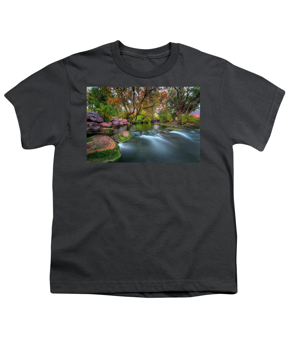 Ogden Youth T-Shirt featuring the photograph Ogden River Walk by Michael Ash