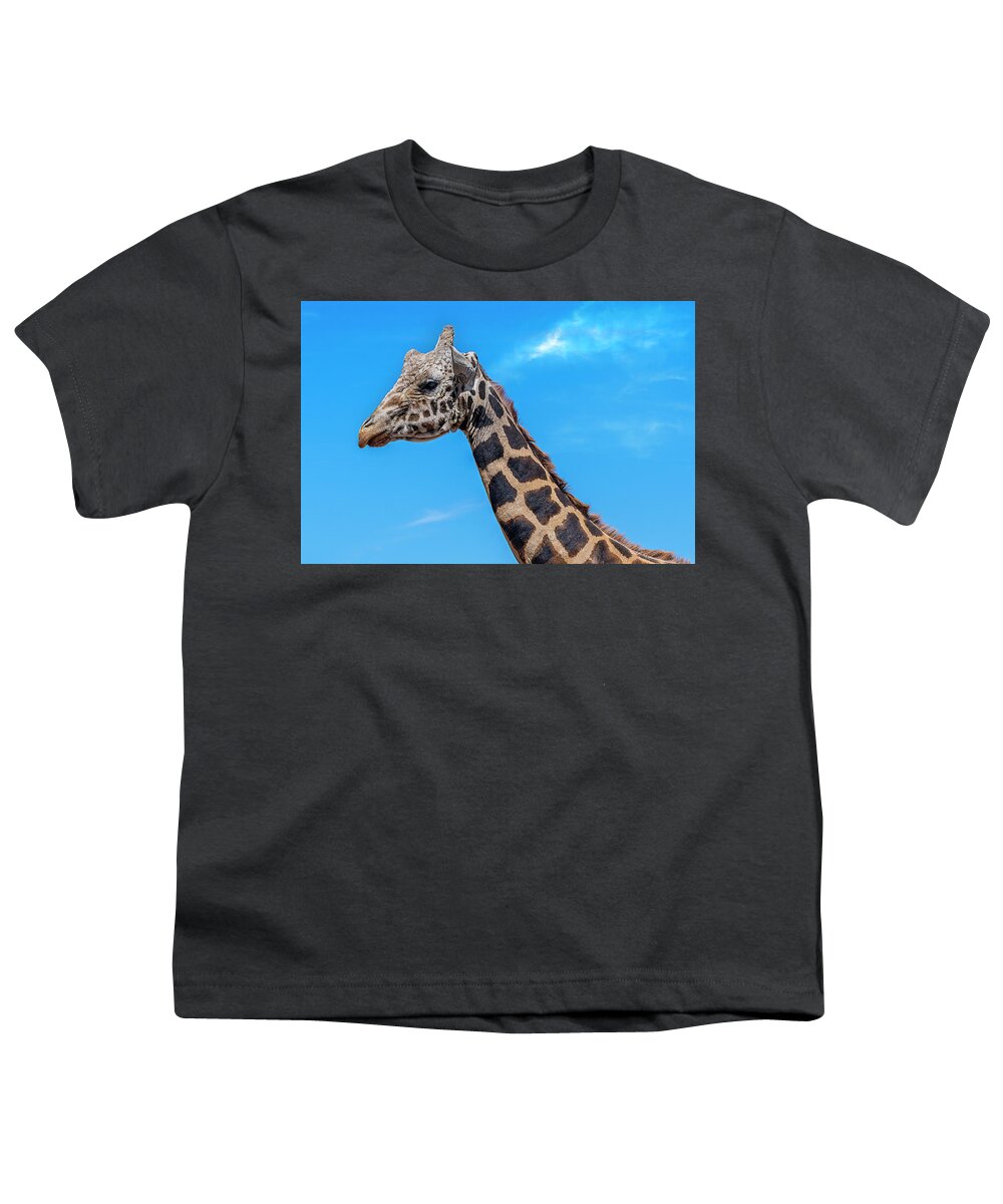  Youth T-Shirt featuring the photograph Old Giraffe by Al Judge