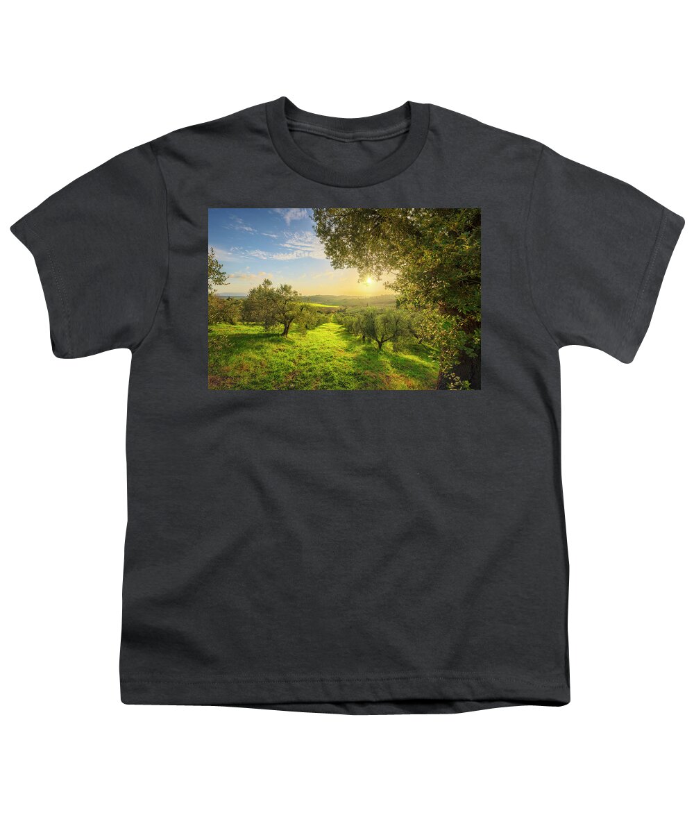 Olive Youth T-Shirt featuring the photograph Olive grove at sunset. by Stefano Orazzini