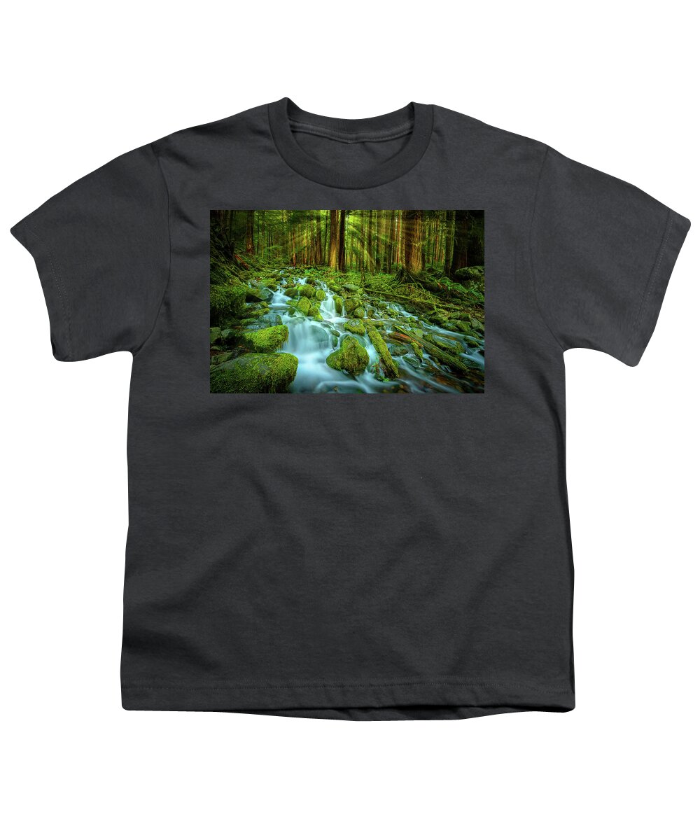 Sol Duc Youth T-Shirt featuring the photograph Olympic Rainforest by Dan Mihai