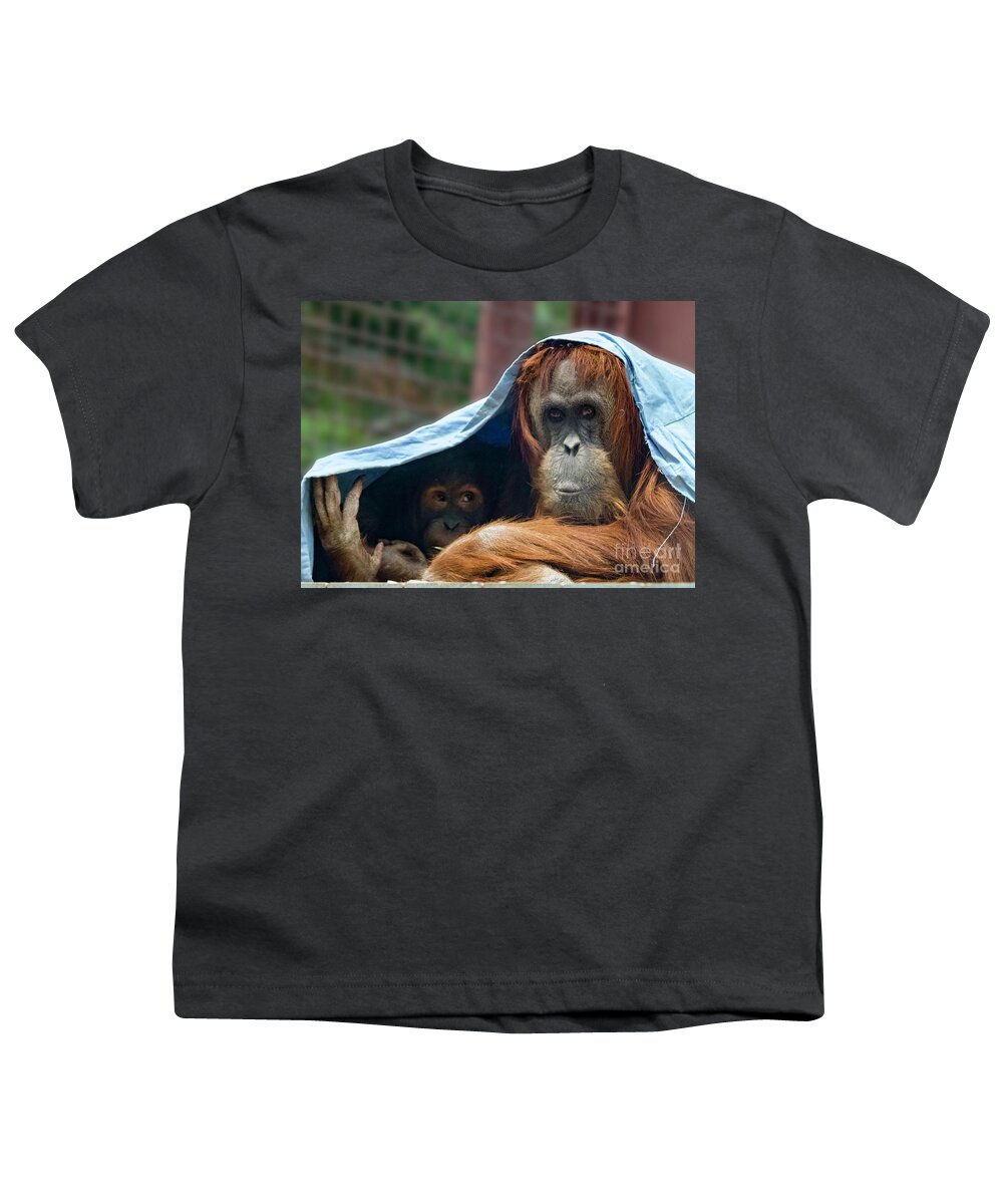 Orangutans Youth T-Shirt featuring the photograph Orangutan Mom and Baby by Shirley Dutchkowski