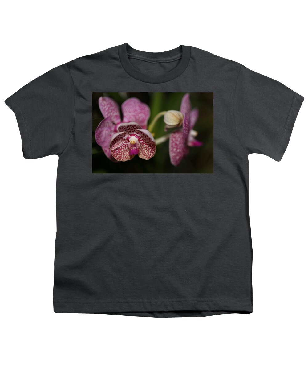 Orchid Youth T-Shirt featuring the photograph Orchids by Mingming Jiang