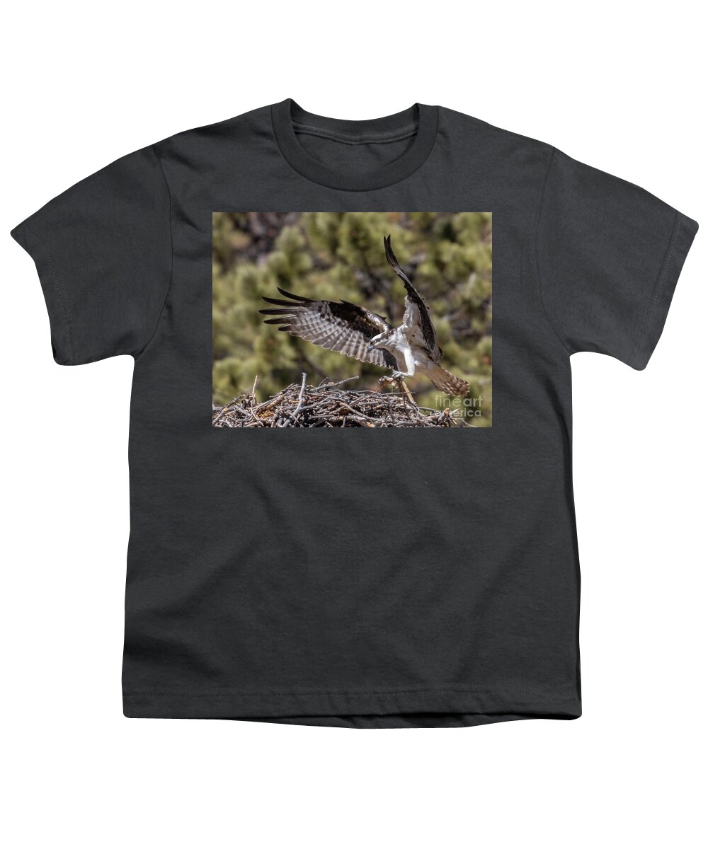 Osprey Youth T-Shirt featuring the photograph Osprey Bringing a Stick by Steven Krull