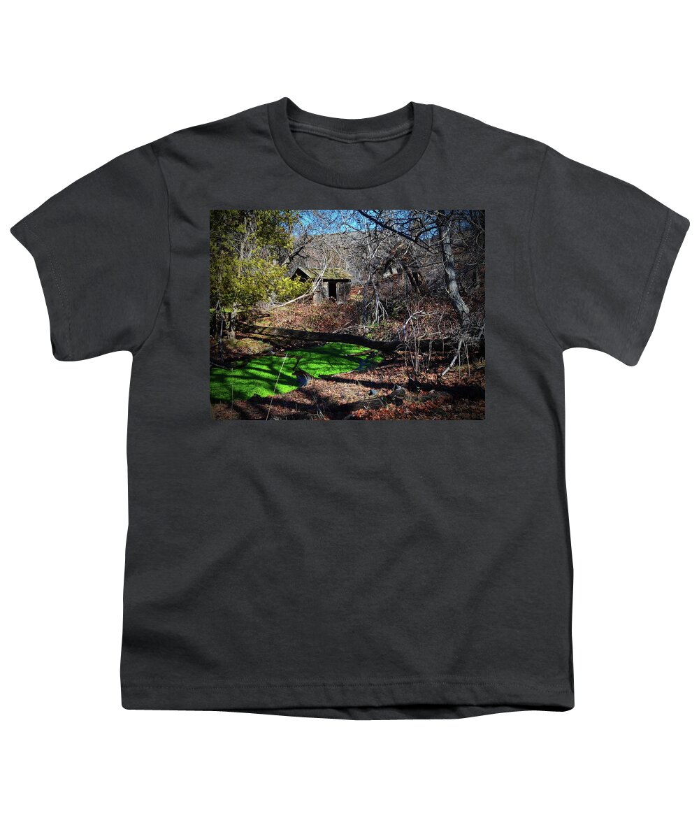 In Focus Youth T-Shirt featuring the digital art Out Building, Rock Creek Homestead. by Fred Loring