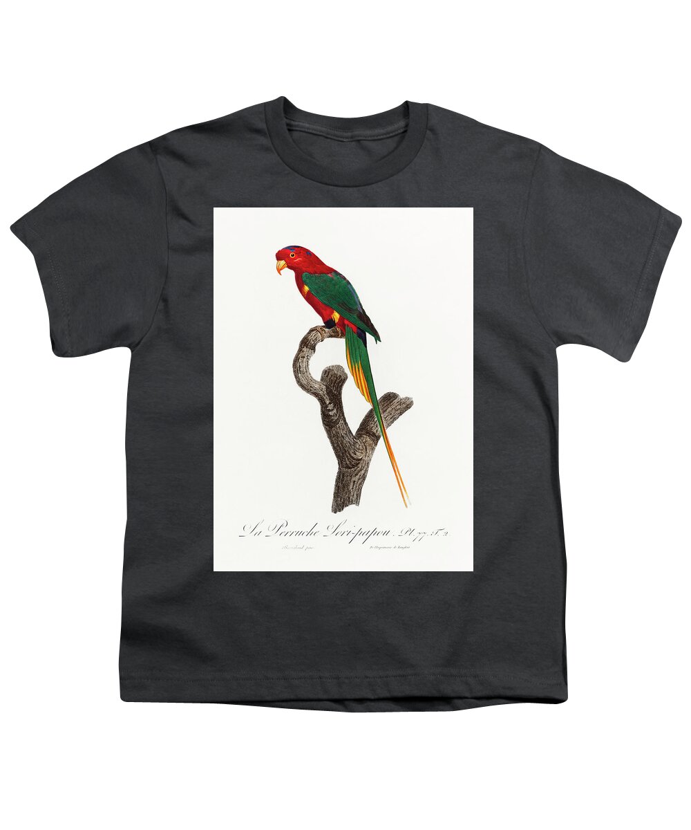 Animal Youth T-Shirt featuring the painting Papuan Lorikeet from Natural History of Parrots by MotionAge Designs