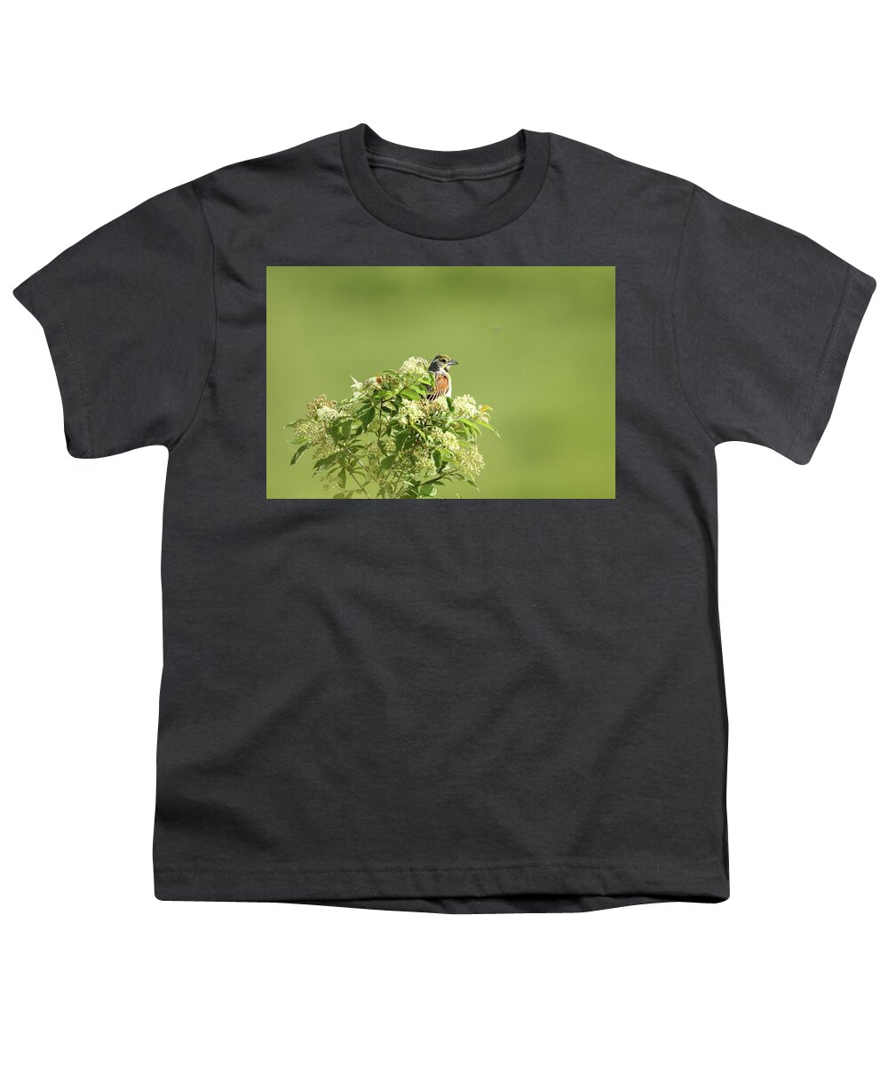Bird Youth T-Shirt featuring the photograph Perched by Lens Art Photography By Larry Trager