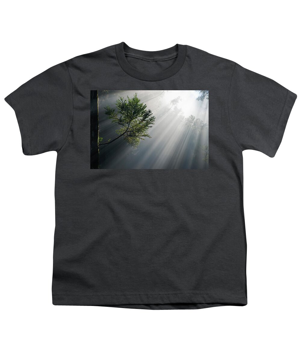 Photosynthesis Youth T-Shirt featuring the photograph Photosynthesis by Olivier Parent