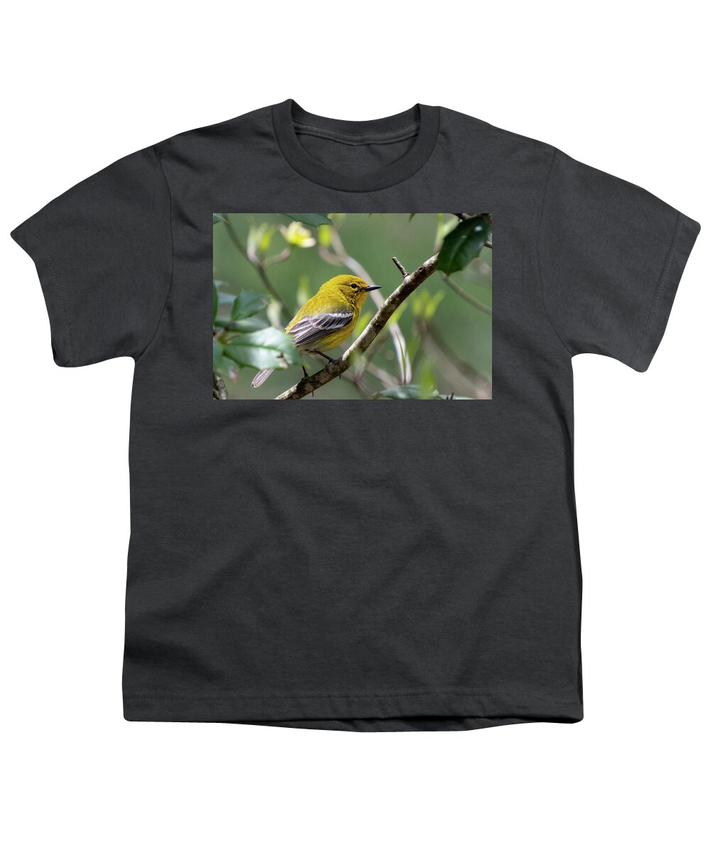 Pine Warbler Youth T-Shirt featuring the photograph Pine Warbler in the Sunlight by Cascade Colors
