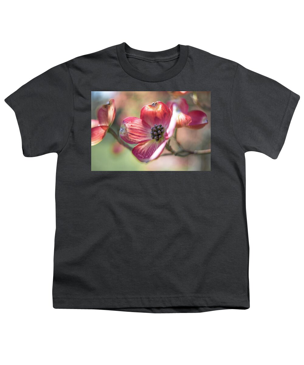 Pink Youth T-Shirt featuring the photograph Pink Dogwood by Denise Kopko