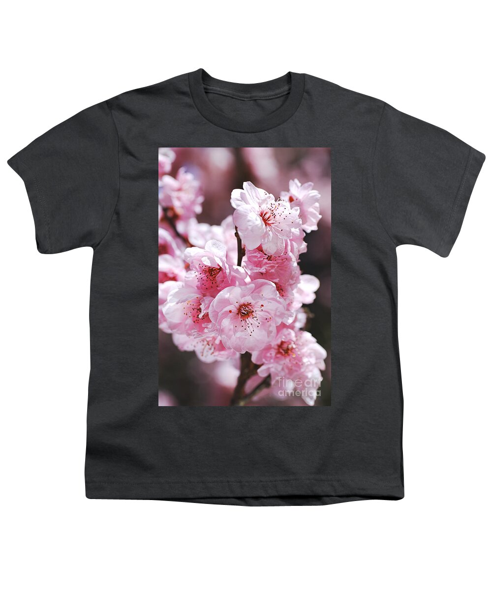 Prunus Blossom Youth T-Shirt featuring the photograph Pinks of Blossom Prunus by Joy Watson