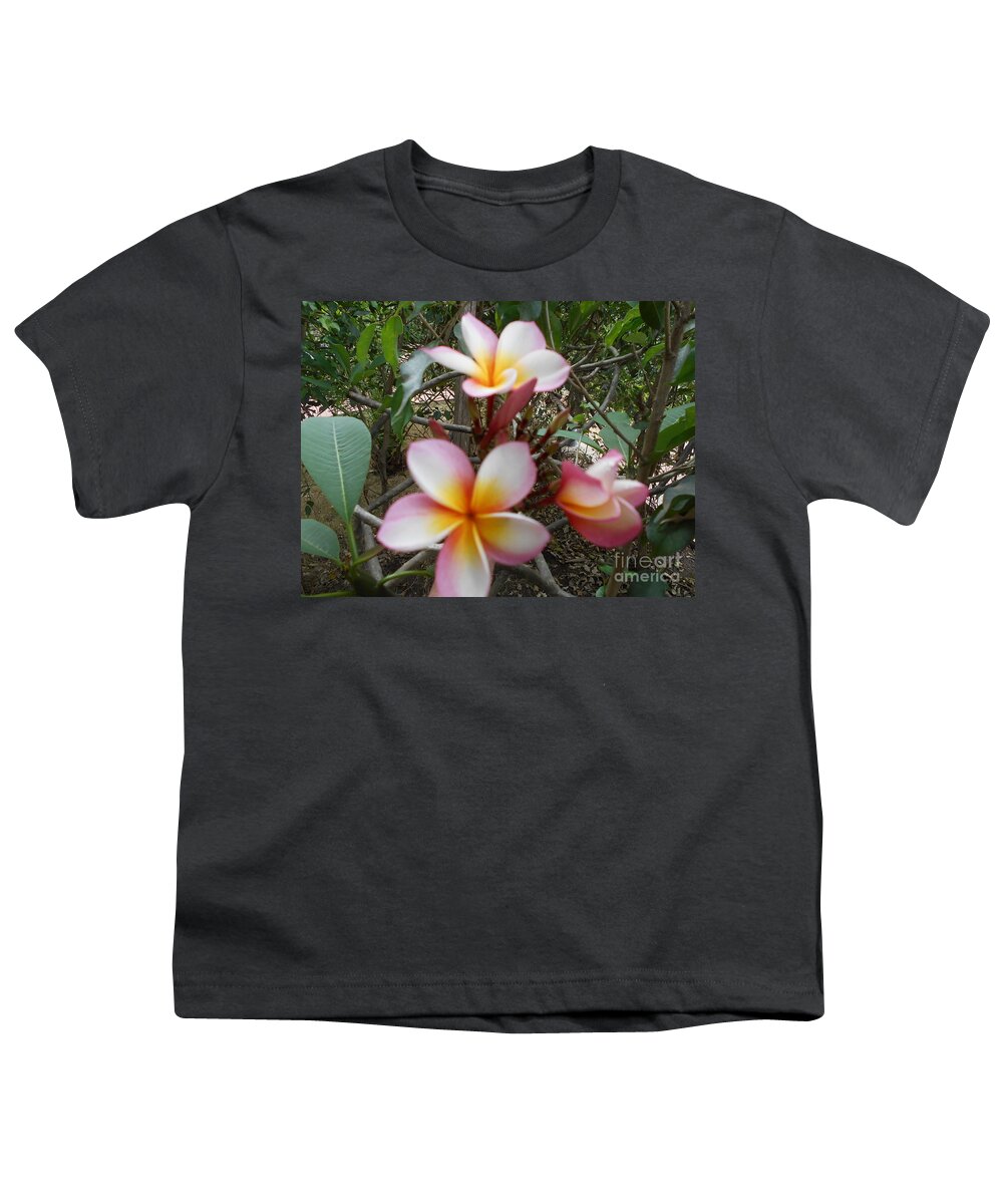 Plumeria Youth T-Shirt featuring the photograph Plumerias by Nancy Graham