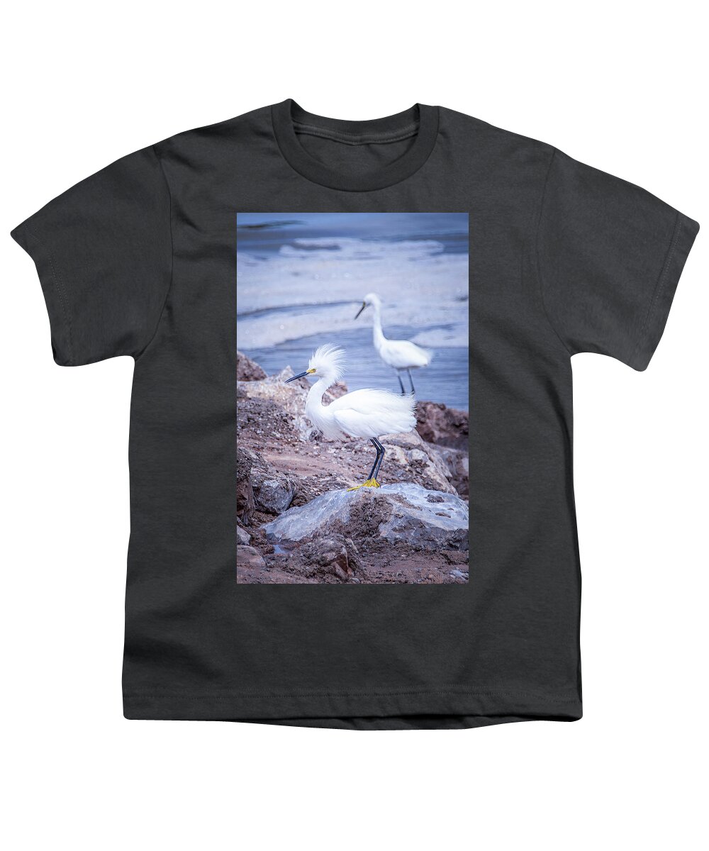 Avian Youth T-Shirt featuring the photograph Proud Snowy Egret by Debra Martz
