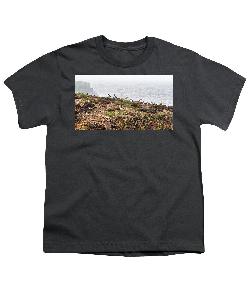 North Atlantic Youth T-Shirt featuring the photograph Puffins Summer Home by Allan Van Gasbeck