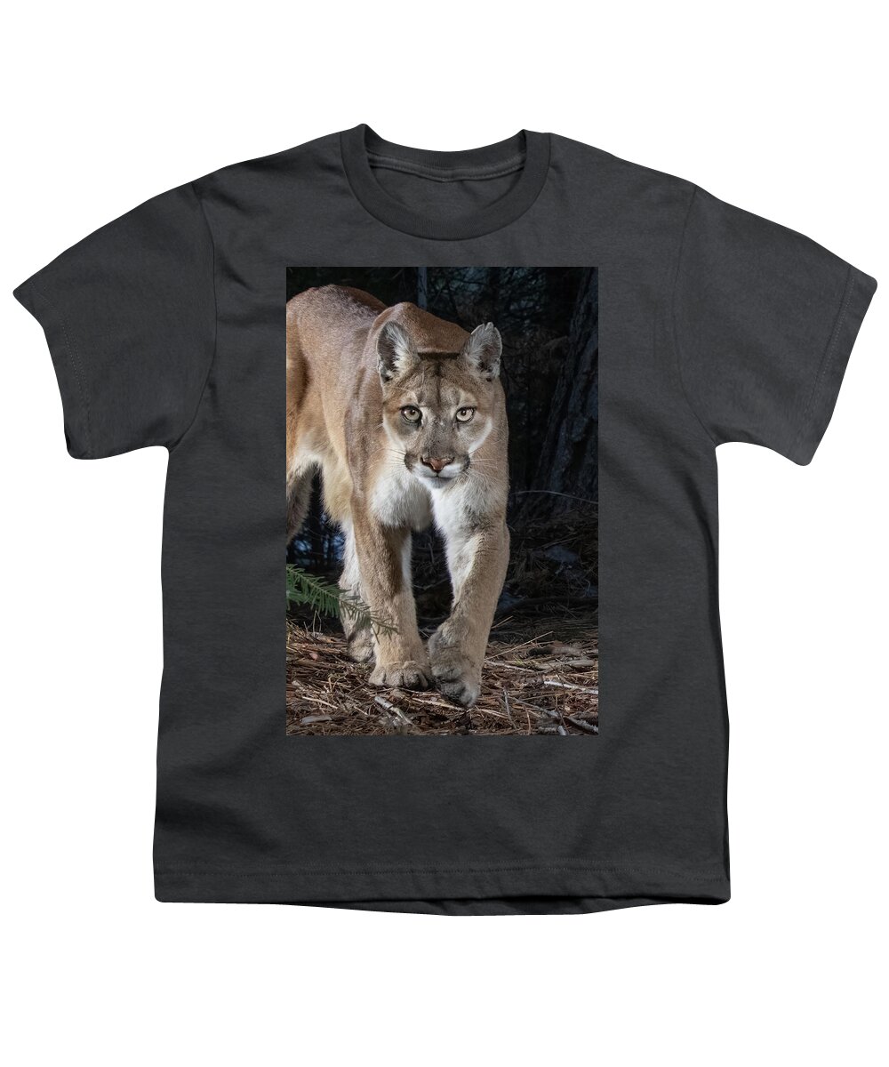 Puma Youth T-Shirt featuring the photograph Puma Concolor by Randy Robbins