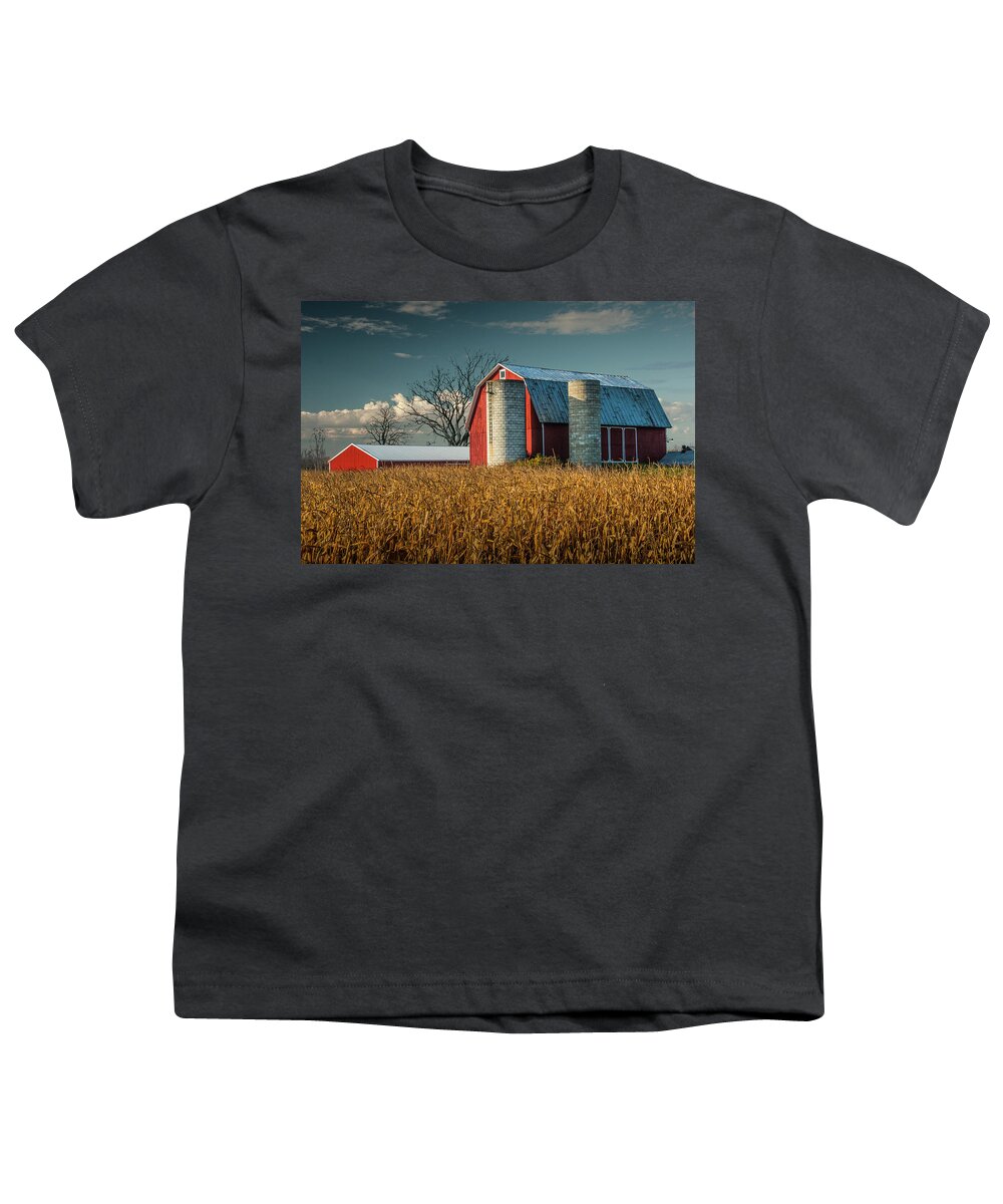 Art Youth T-Shirt featuring the photograph Red Barn and Cornfield in West Michigan on a Sunny Day by Randall Nyhof