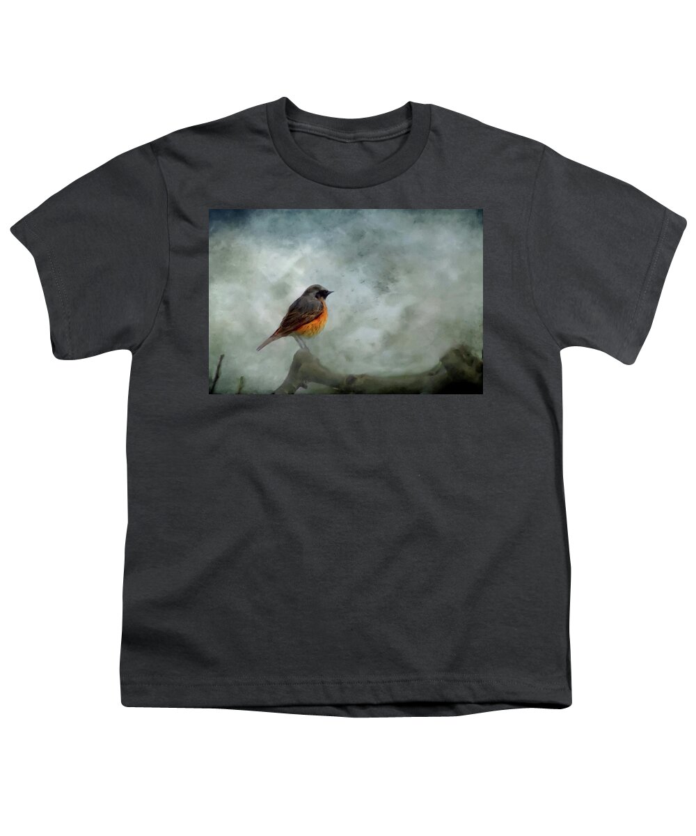 Red Bird Youth T-Shirt featuring the mixed media Red Breast Bird At Dawn Following the Storm by David Dehner