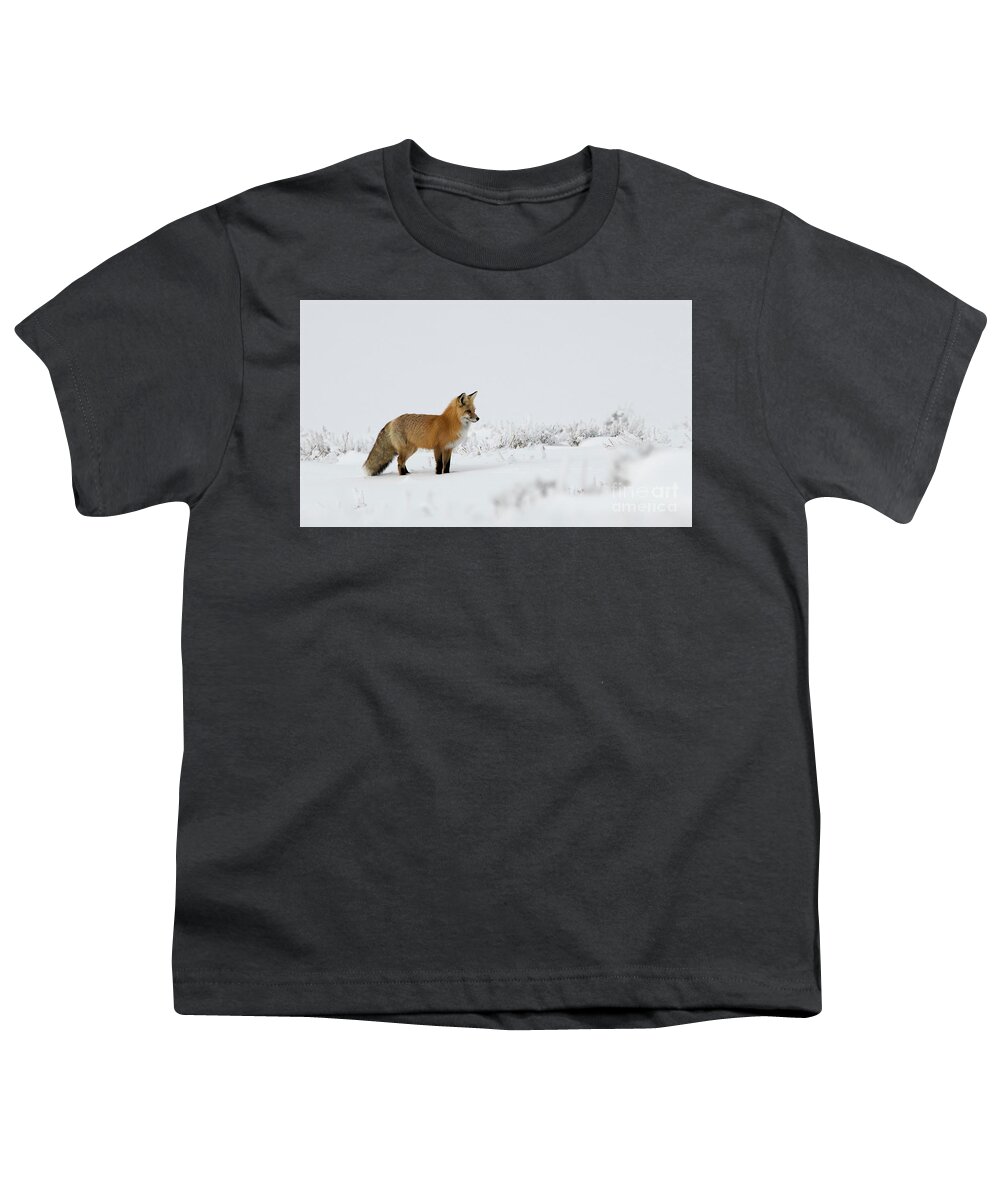 Fox Youth T-Shirt featuring the photograph Red Fox in the Snow by Patrick Nowotny