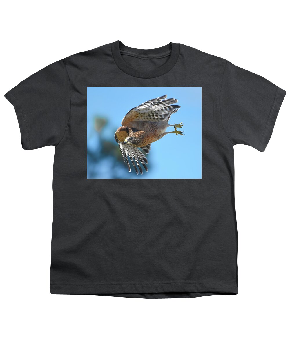 Red Shoulder Hawk Youth T-Shirt featuring the photograph Red Shoulder Hawk Flight by Jerry Griffin