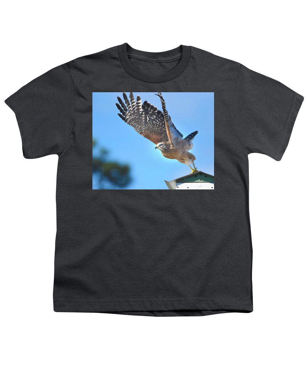 Red Shoulder Hawk Youth T-Shirt featuring the photograph Red Shoulder Hawk Taking Off by Jerry Griffin