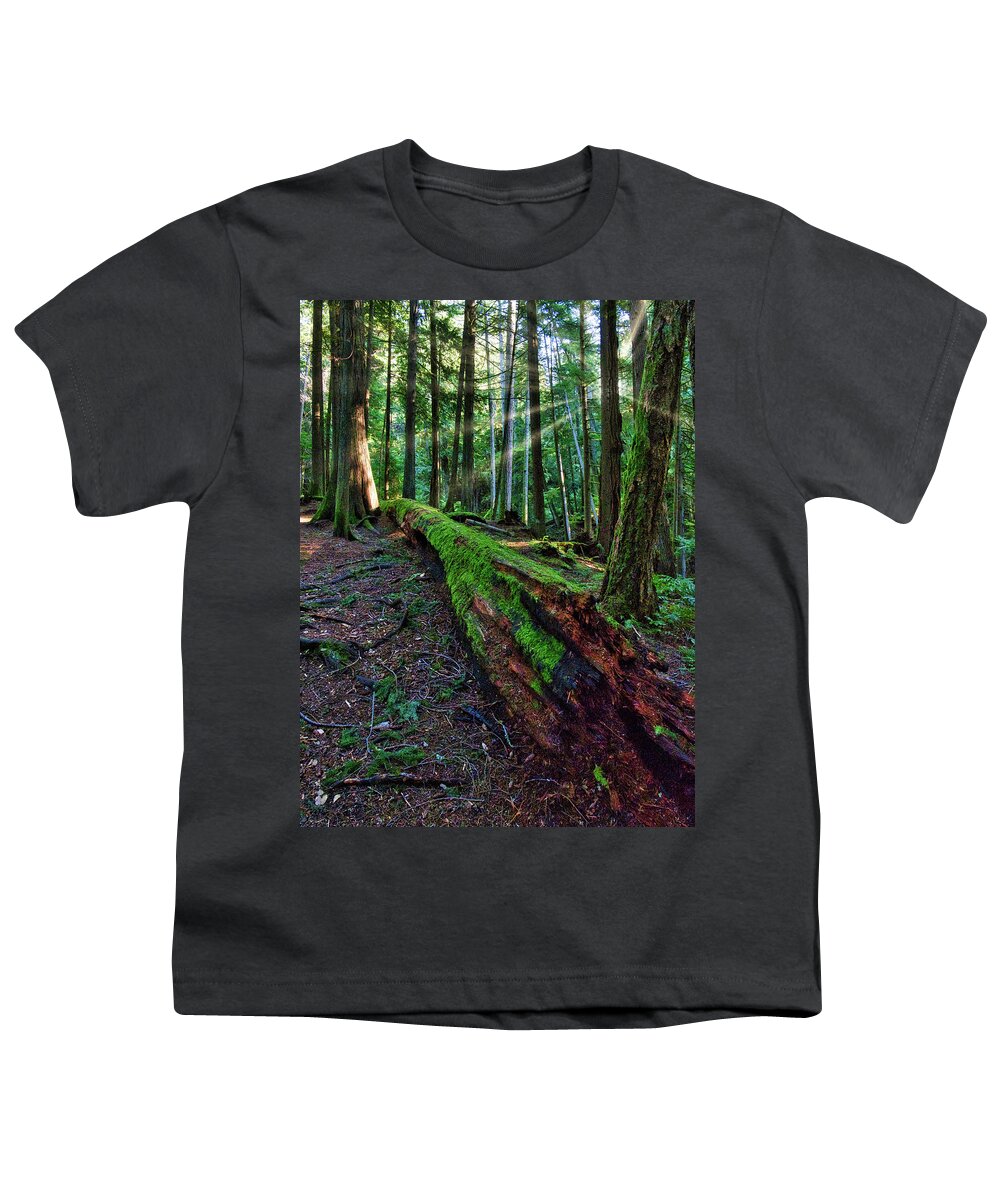Landscape Youth T-Shirt featuring the photograph Restful Light by Allan Van Gasbeck