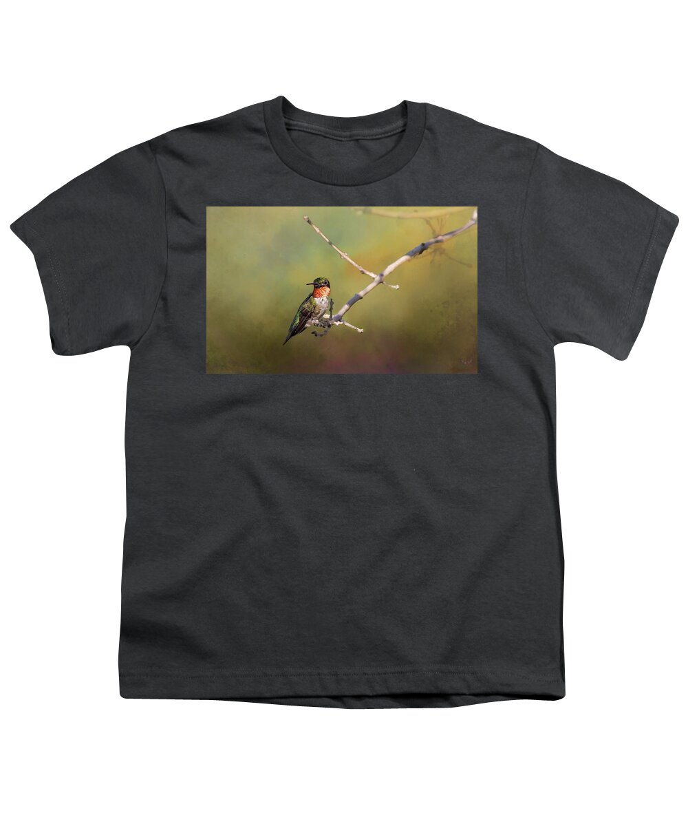 Hummingbird Youth T-Shirt featuring the photograph Resting Hummingbird by Pam Rendall